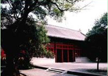 Kongfu