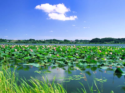 Weishan Lake