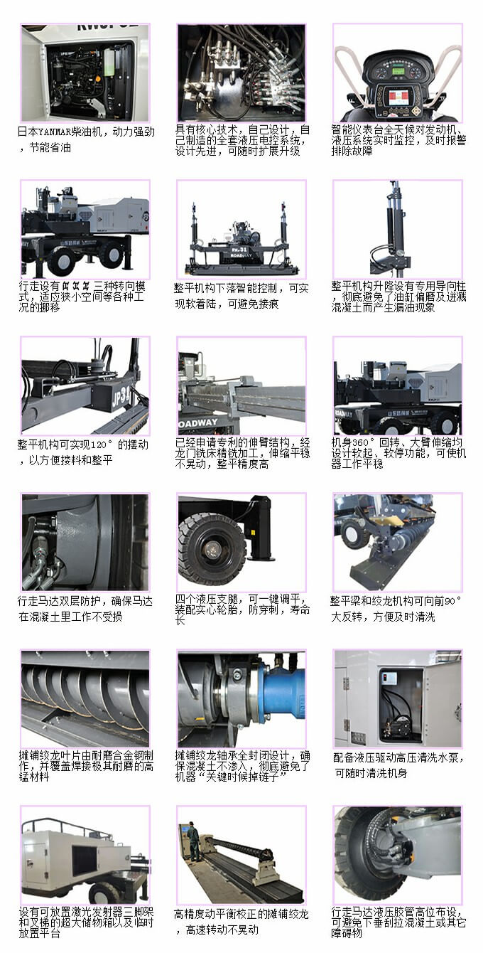 RWJP31 Characteristics Overview 2021.02.22